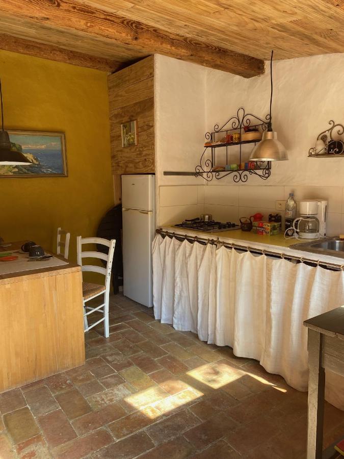 Maison Dans Jardin Villeseque-des-Corbieres Kültér fotó